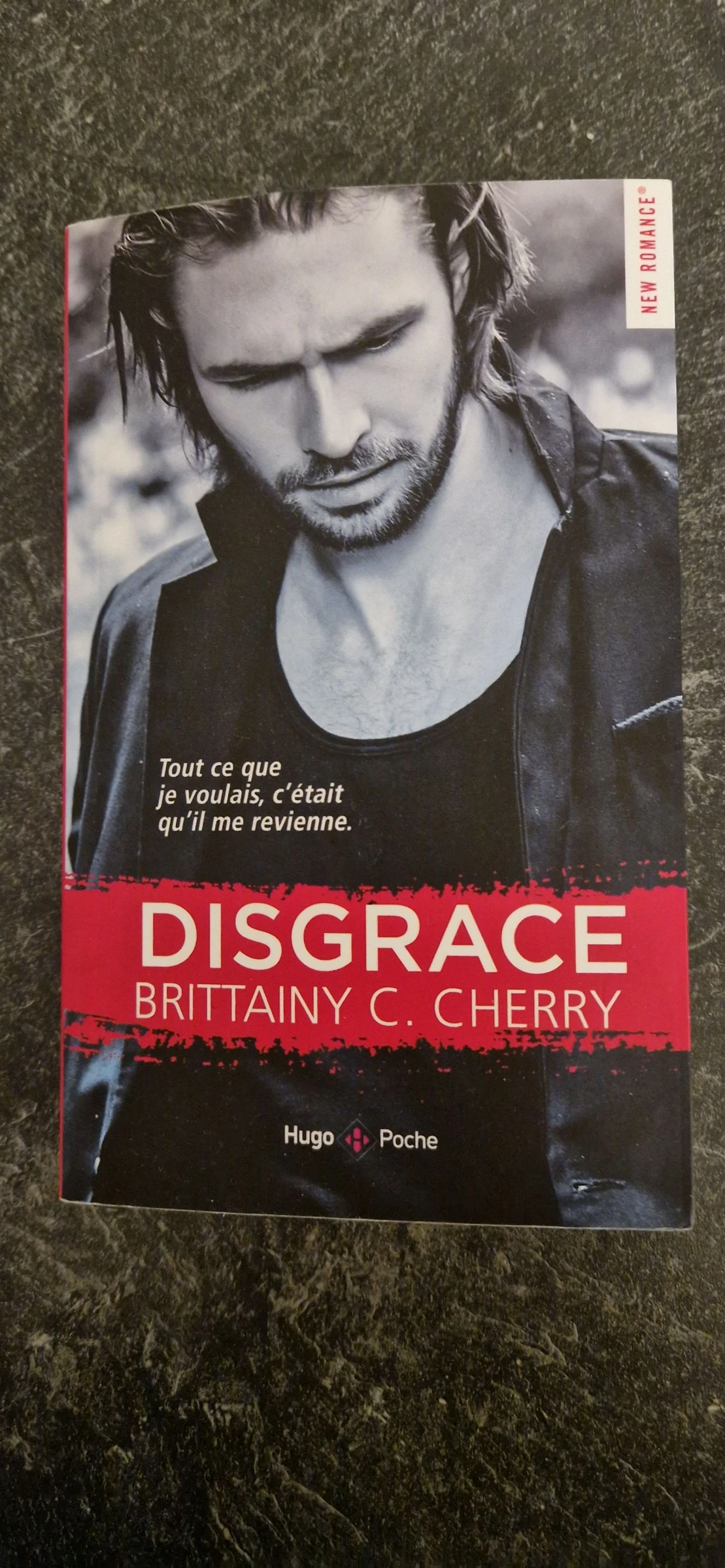 Livre Disgrâce 